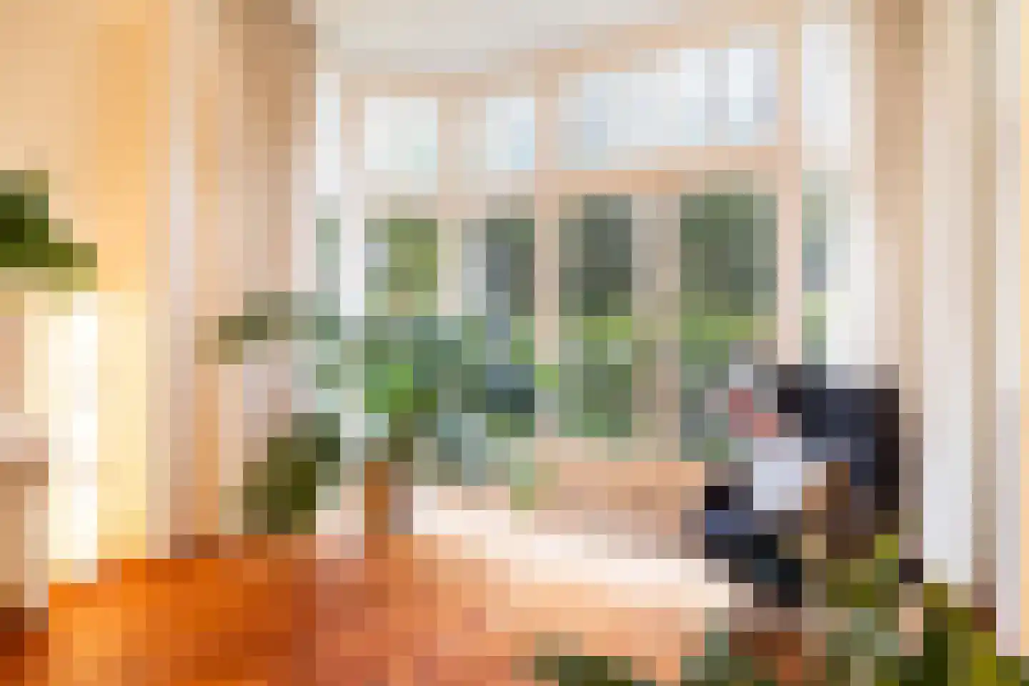 Cornelis de Wittlaan 73 Den Haag thumbnail 21