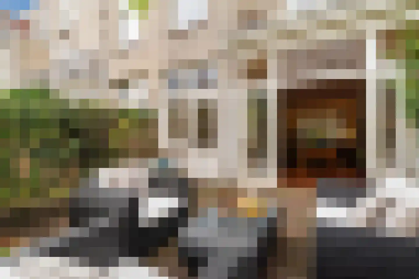 Cornelis de Wittlaan 73 Den Haag thumbnail 39