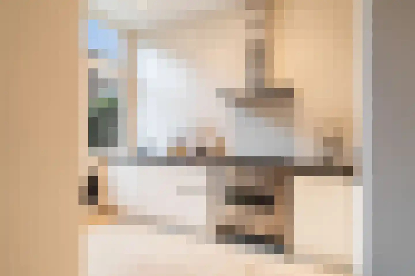 Cornelis de Wittlaan 73 Den Haag thumbnail 4