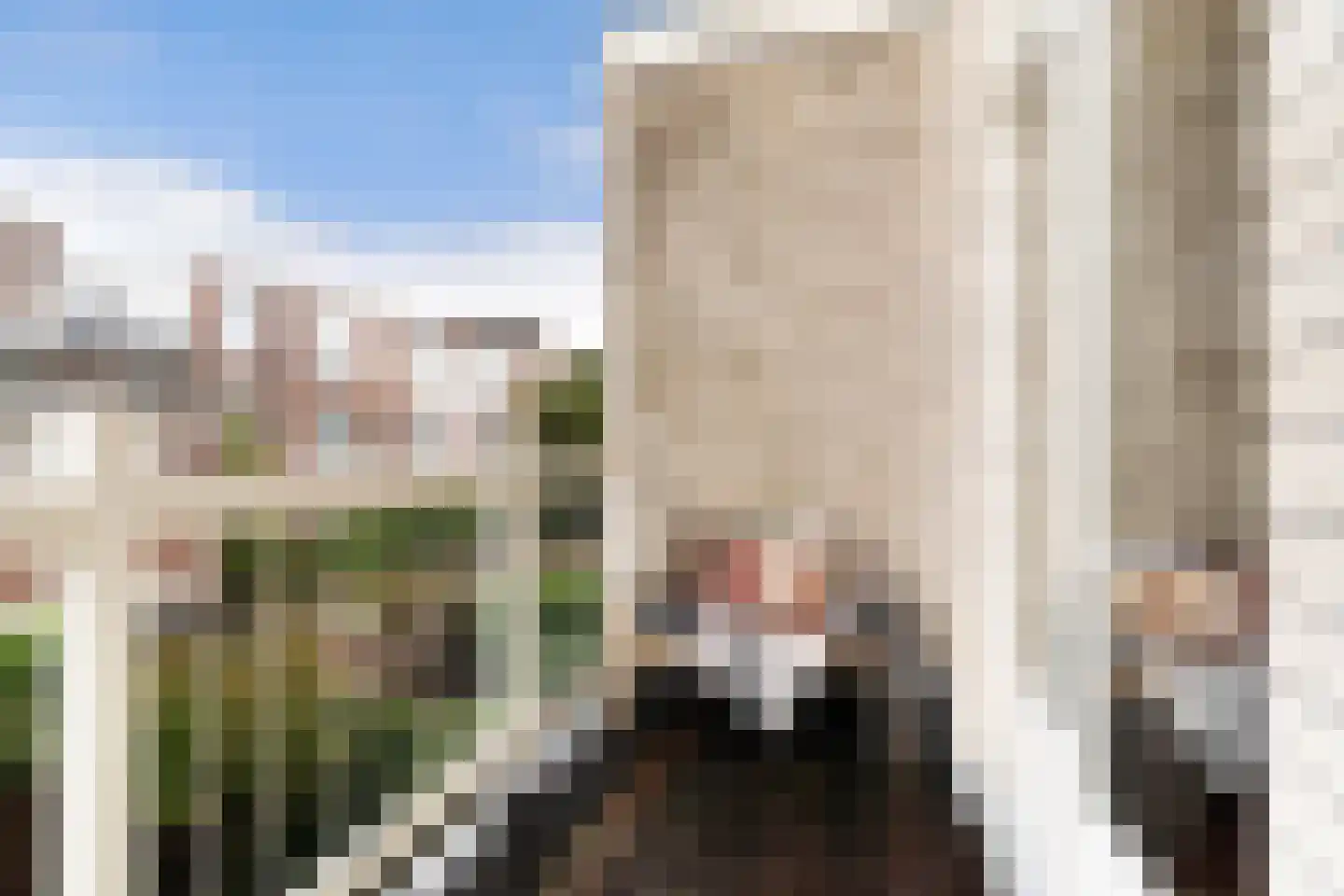 Cornelis de Wittlaan 73 Den Haag thumbnail 59