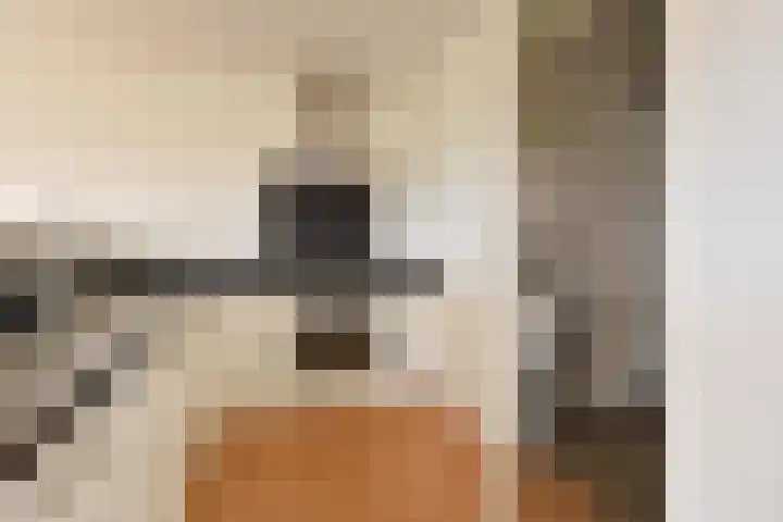 Cornelis de Wittlaan 86 Den Haag thumbnail 16