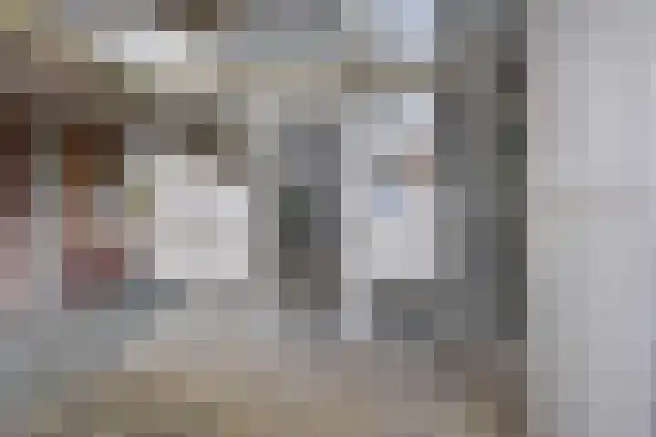 Cornelis de Wittlaan 86 Den Haag thumbnail 4