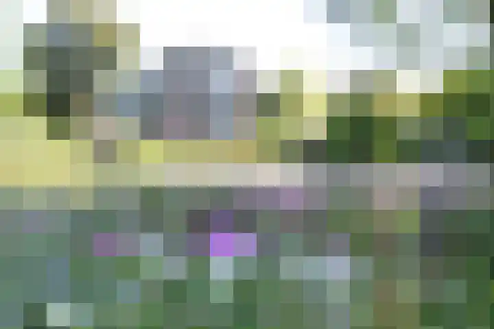 Cornelis de Wittlaan 86 Den Haag thumbnail 46
