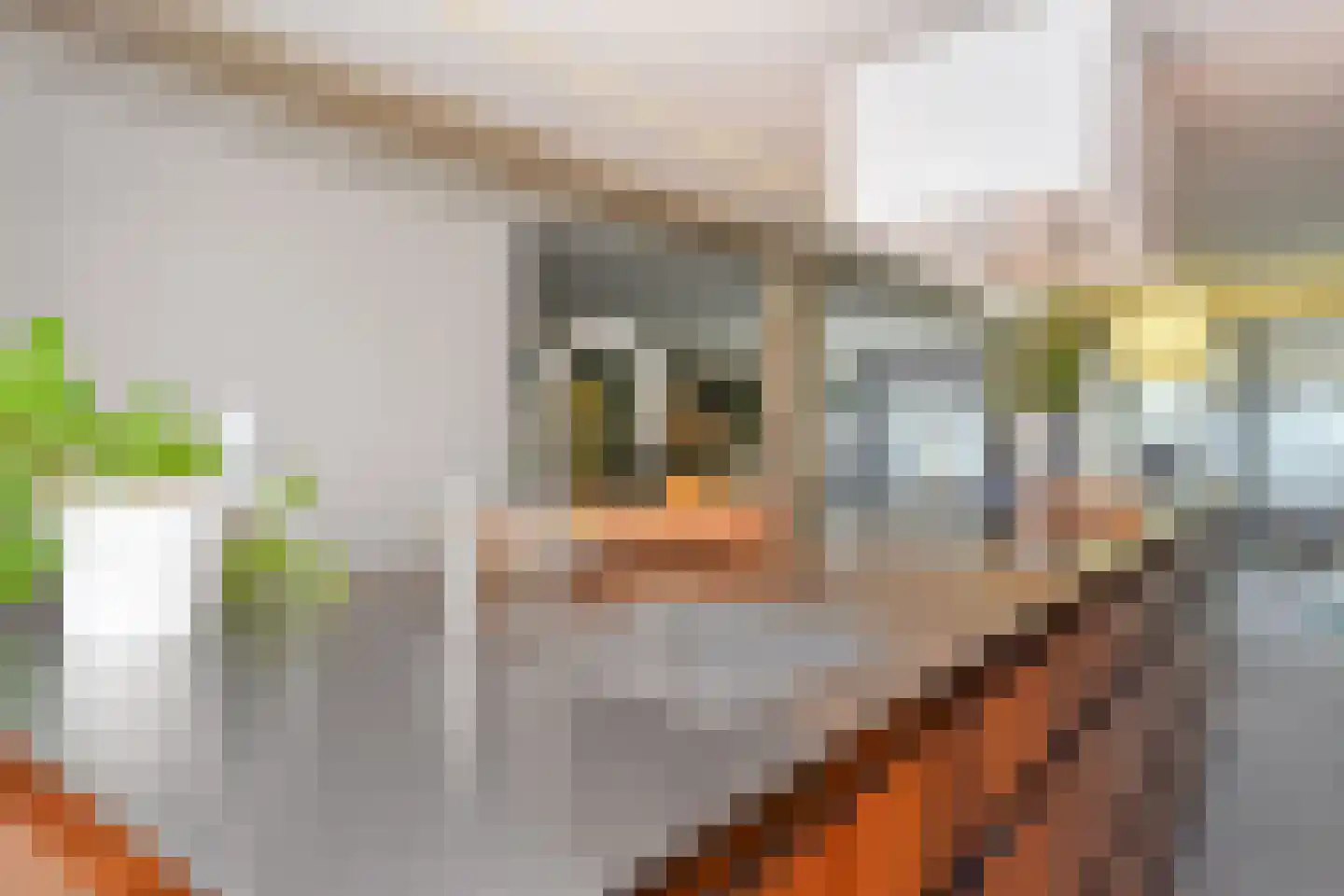 Cornelis de Wittstraat 9 B Delft thumbnail 4