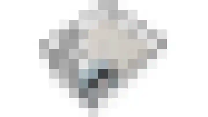Cornelis de Wittstraat 9 B Delft thumbnail 64