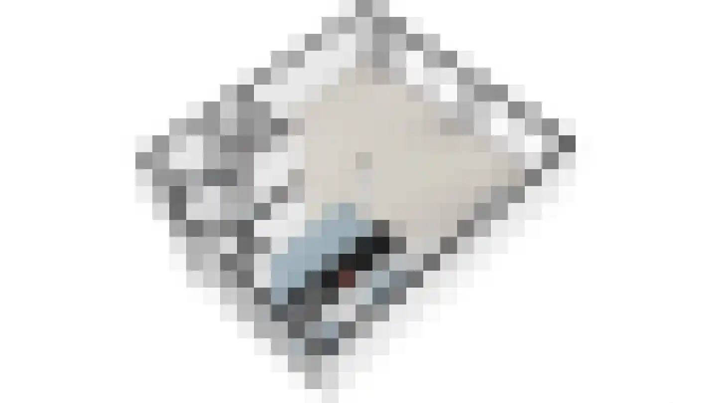 Cornelis de Wittstraat 9 B Delft thumbnail 64