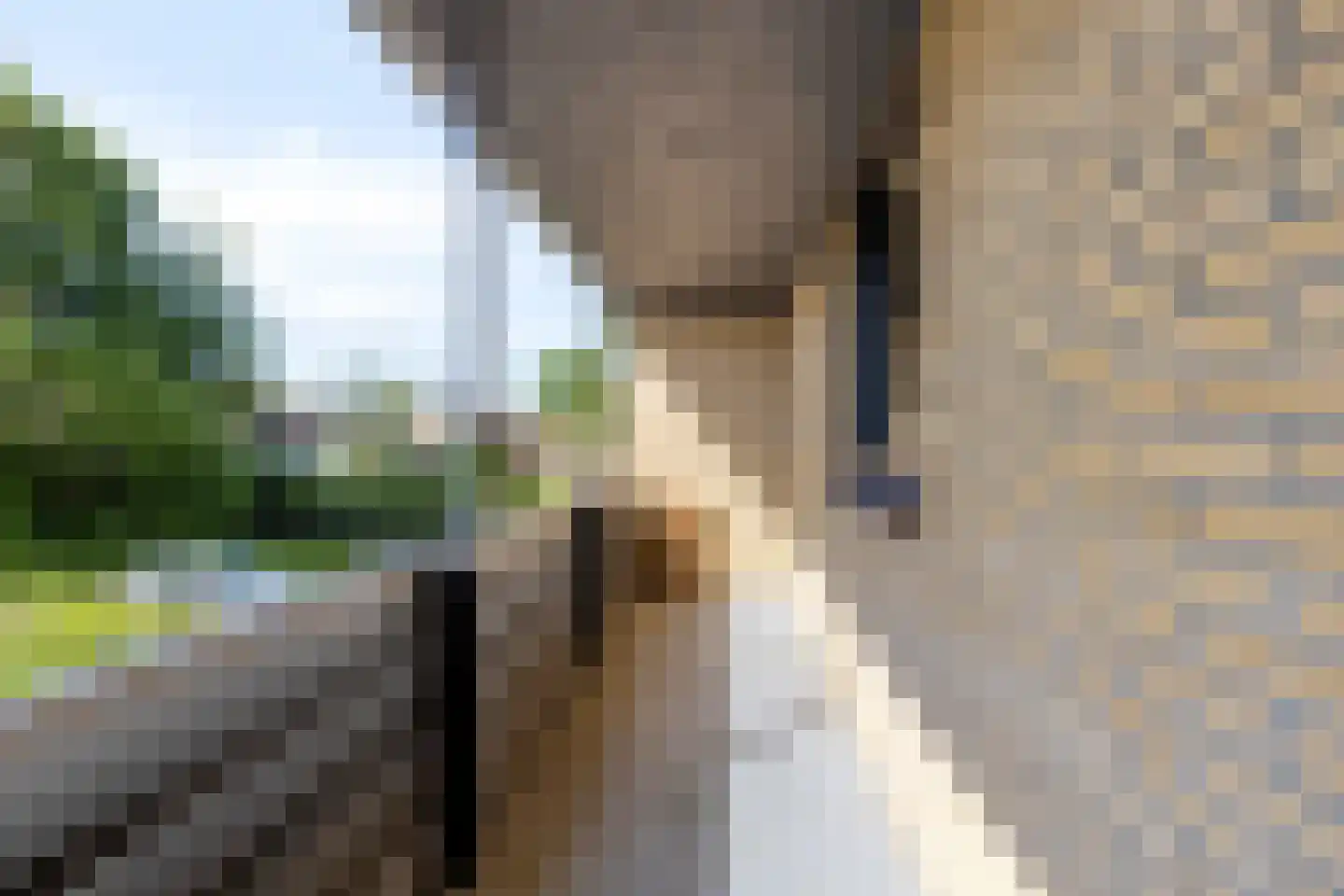 Cornelis Dirkszoonlaan 40 Monnickendam thumbnail 37