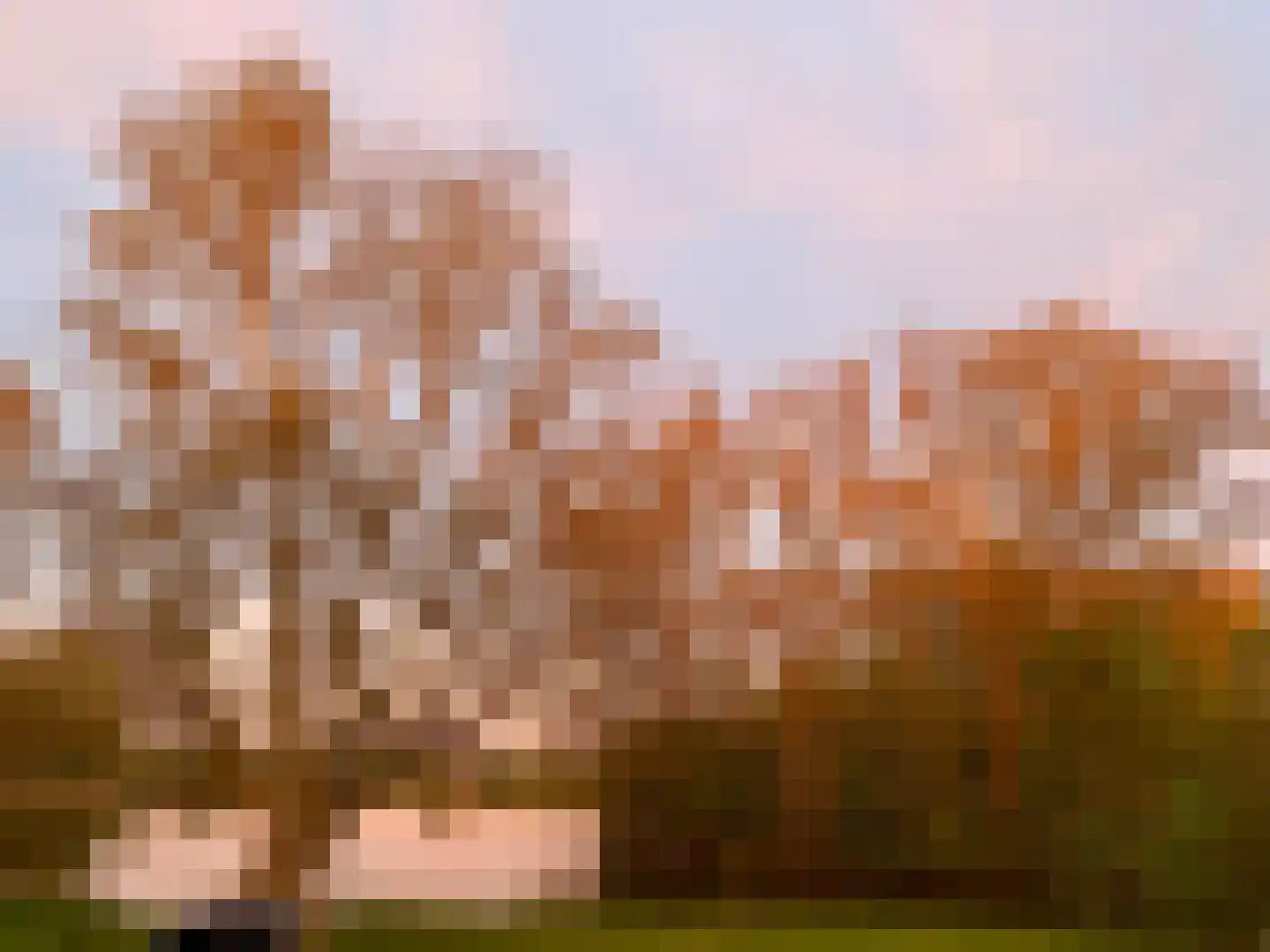 Cornelis Dirkszoonlaan 40 Monnickendam thumbnail 60
