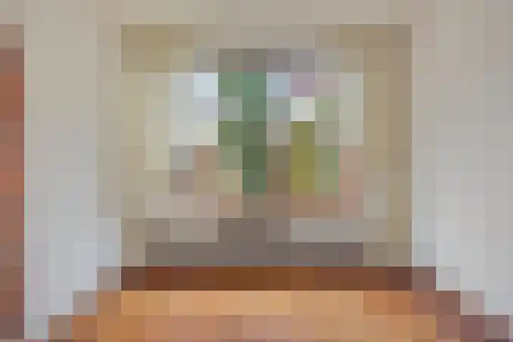 Cornelis Dirkszoonlaan 90 Monnickendam thumbnail 18