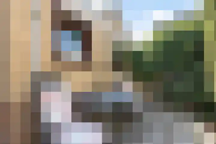 Cornelis Dirkszoonlaan 90 Monnickendam thumbnail 29