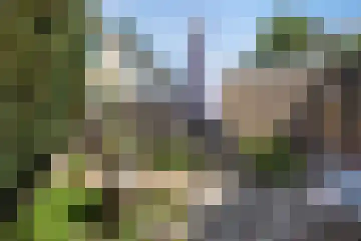 Cornelis Dirkszoonlaan 90 Monnickendam thumbnail 31