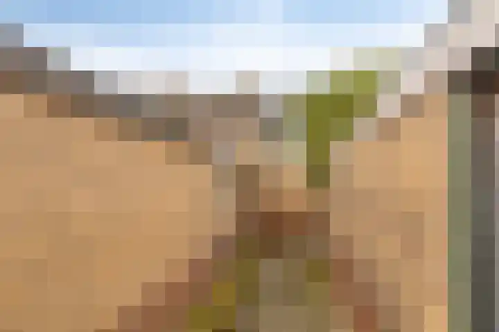 Cornelis Dirkszoonlaan 90 Monnickendam thumbnail 34