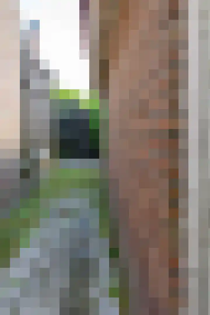Cornelis Dirkszplein 2 Emmeloord thumbnail 11