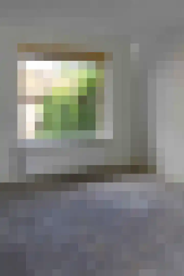 Cornelis Dirkszplein 2 Emmeloord thumbnail 16