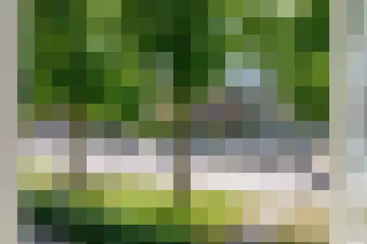 Cornelis Dirkszplein 2 Emmeloord thumbnail 33