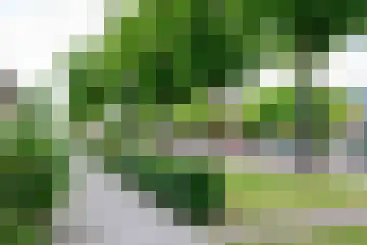 Cornelis Dirkszplein 2 Emmeloord thumbnail 39