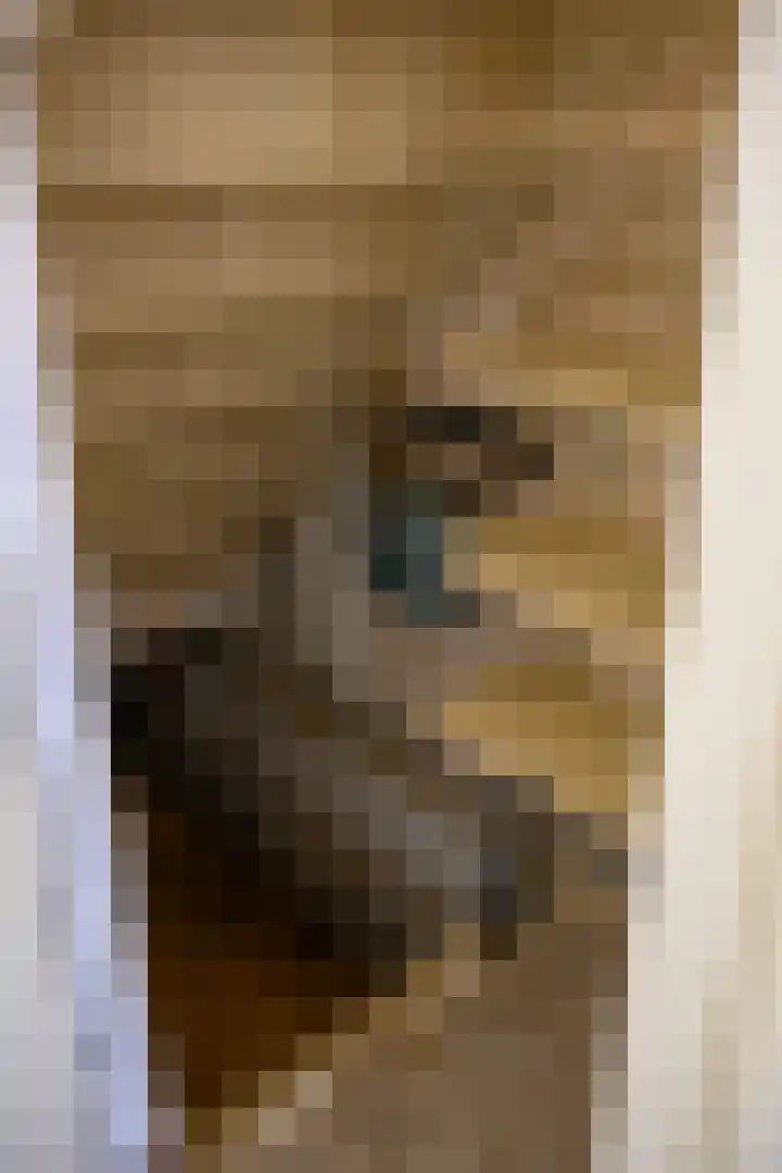 Cornelis Dirkszplein 2 Emmeloord thumbnail 5