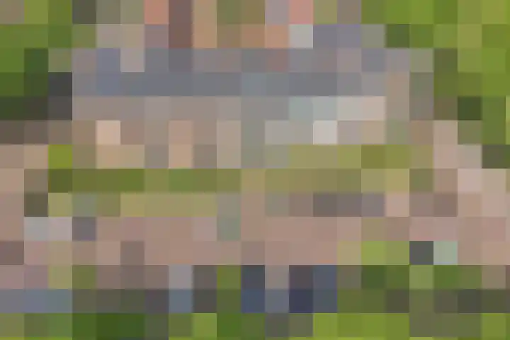Cornelis Dirkszplein 35 Emmeloord thumbnail 12