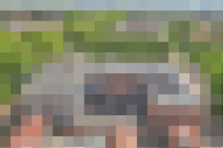 Cornelis Dirkszplein 35 Emmeloord thumbnail 14