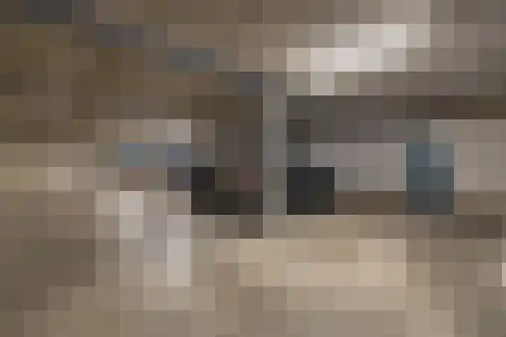 Cornelis Dirkszplein 35 Emmeloord thumbnail 18