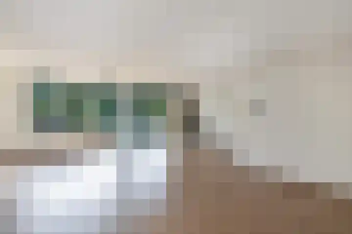 Cornelis Dirkszplein 35 Emmeloord thumbnail 25