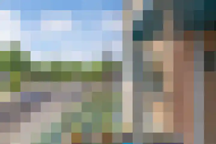 Cornelis Dirkszplein 35 Emmeloord thumbnail 28