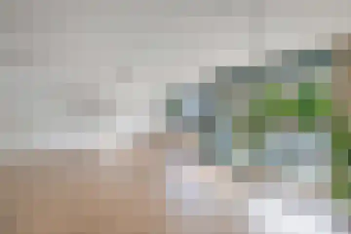 Cornelis Dirkszplein 35 Emmeloord thumbnail 36