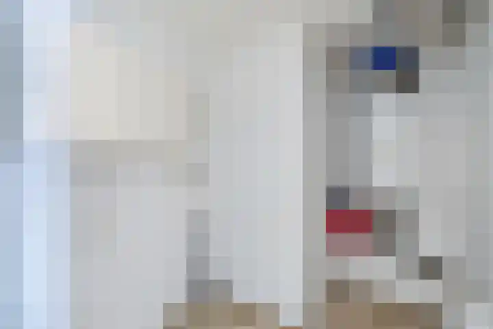Cornelis Dirkszplein 35 Emmeloord thumbnail 44