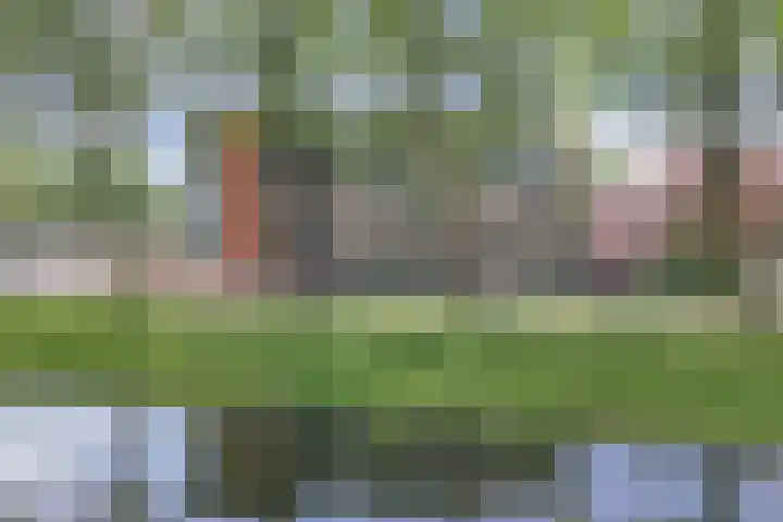 Cornelis Dirkszplein 35 Emmeloord thumbnail 6