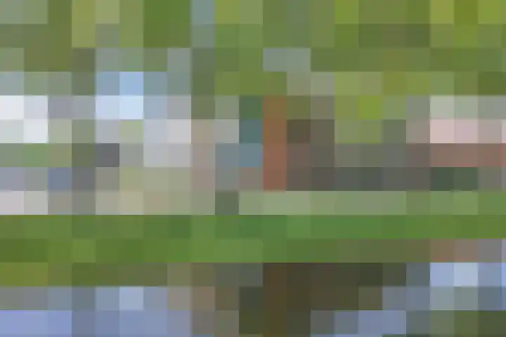 Cornelis Dirkszplein 35 Emmeloord thumbnail 7