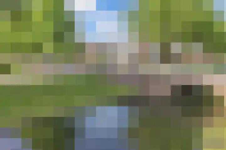 Cornelis Dirkszplein 35 Emmeloord thumbnail 8
