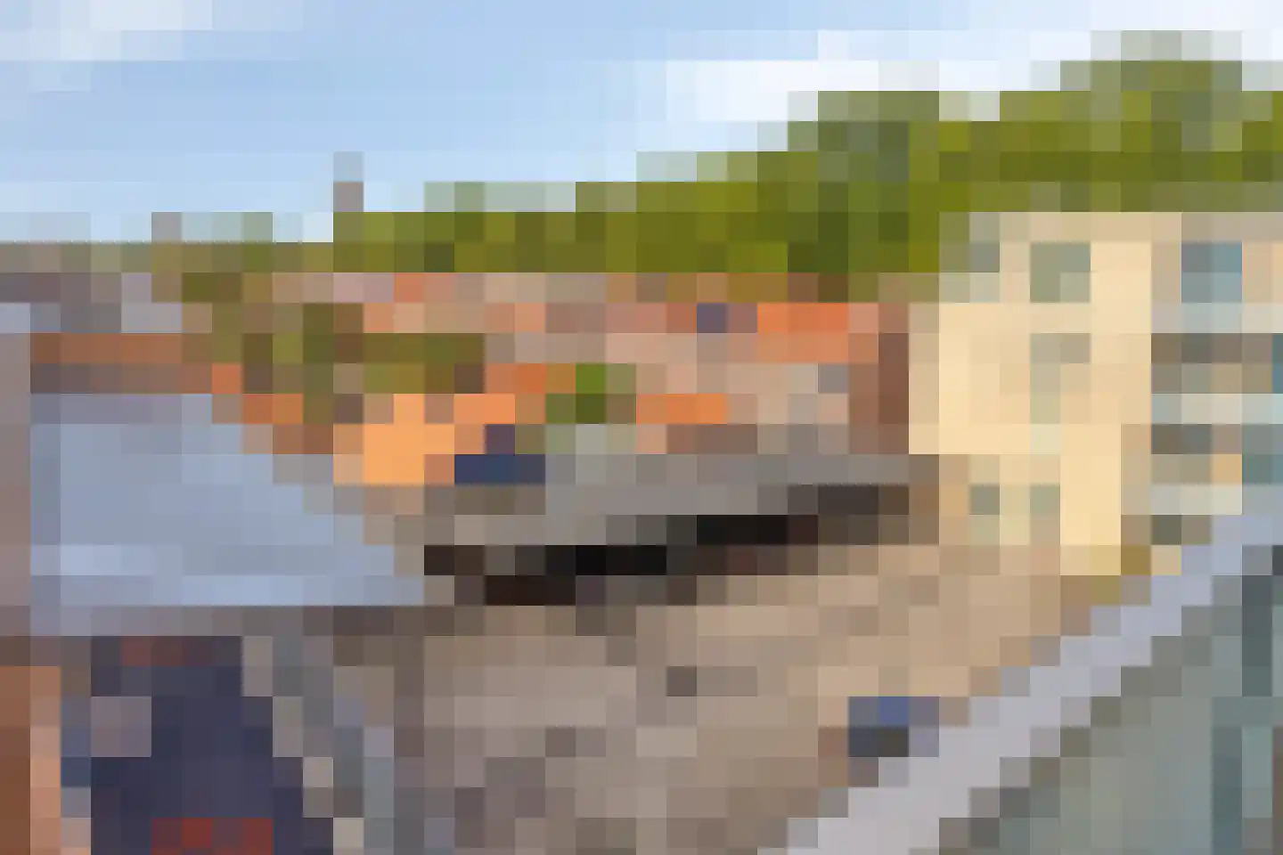 Cornelis Dirkszplein 41 Emmeloord thumbnail 21