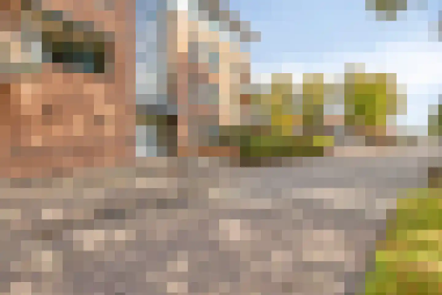 Cornelis Dirkszplein 41 Emmeloord thumbnail 27