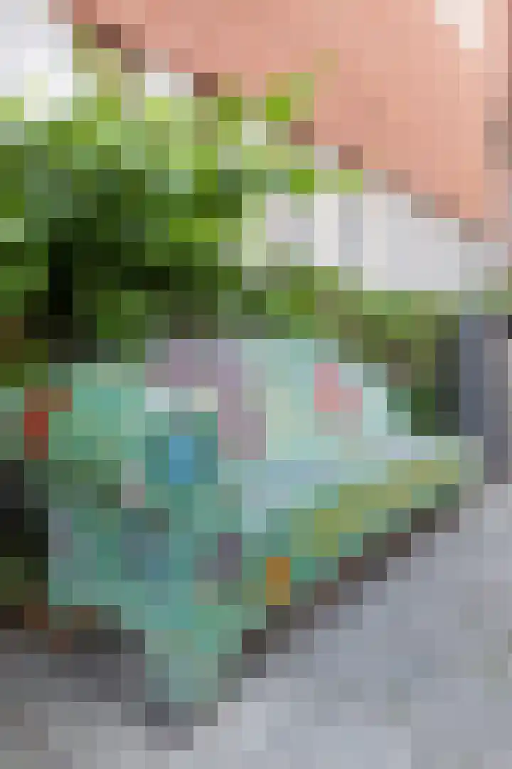 Cornelis Dirkszstraat 11 A 2 Amsterdam thumbnail 52