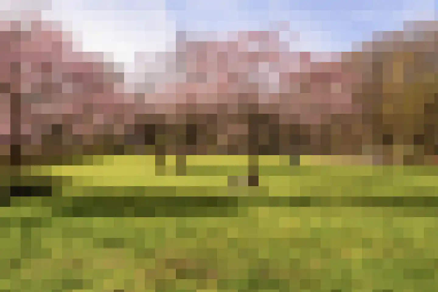 Cornelis Dirkszstraat 11 D 2 Amsterdam thumbnail 32
