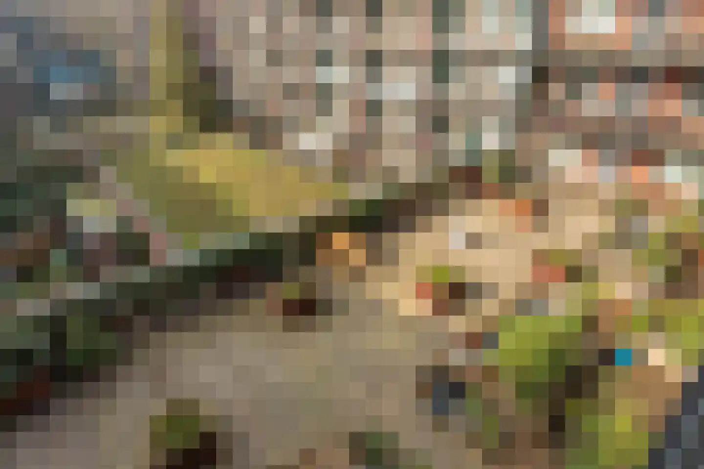 Cornelis Dirkszstraat 11 D 3 Amsterdam thumbnail 16
