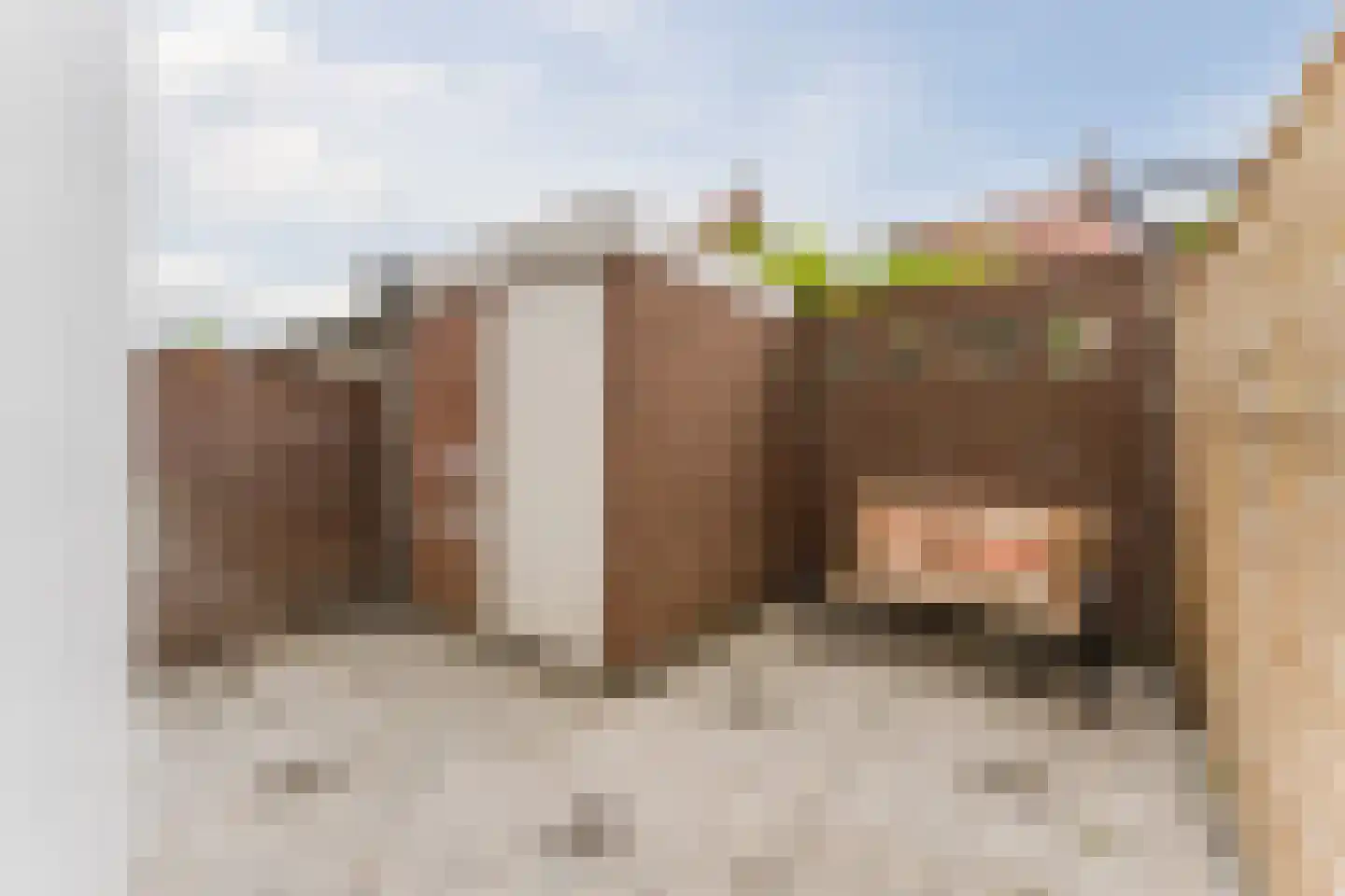 Cornelis Dirkszstraat 12 Utrecht thumbnail 10