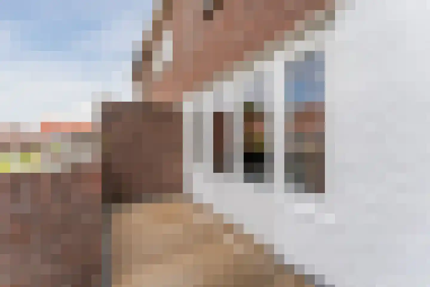 Cornelis Dirkszstraat 12 Utrecht thumbnail 24