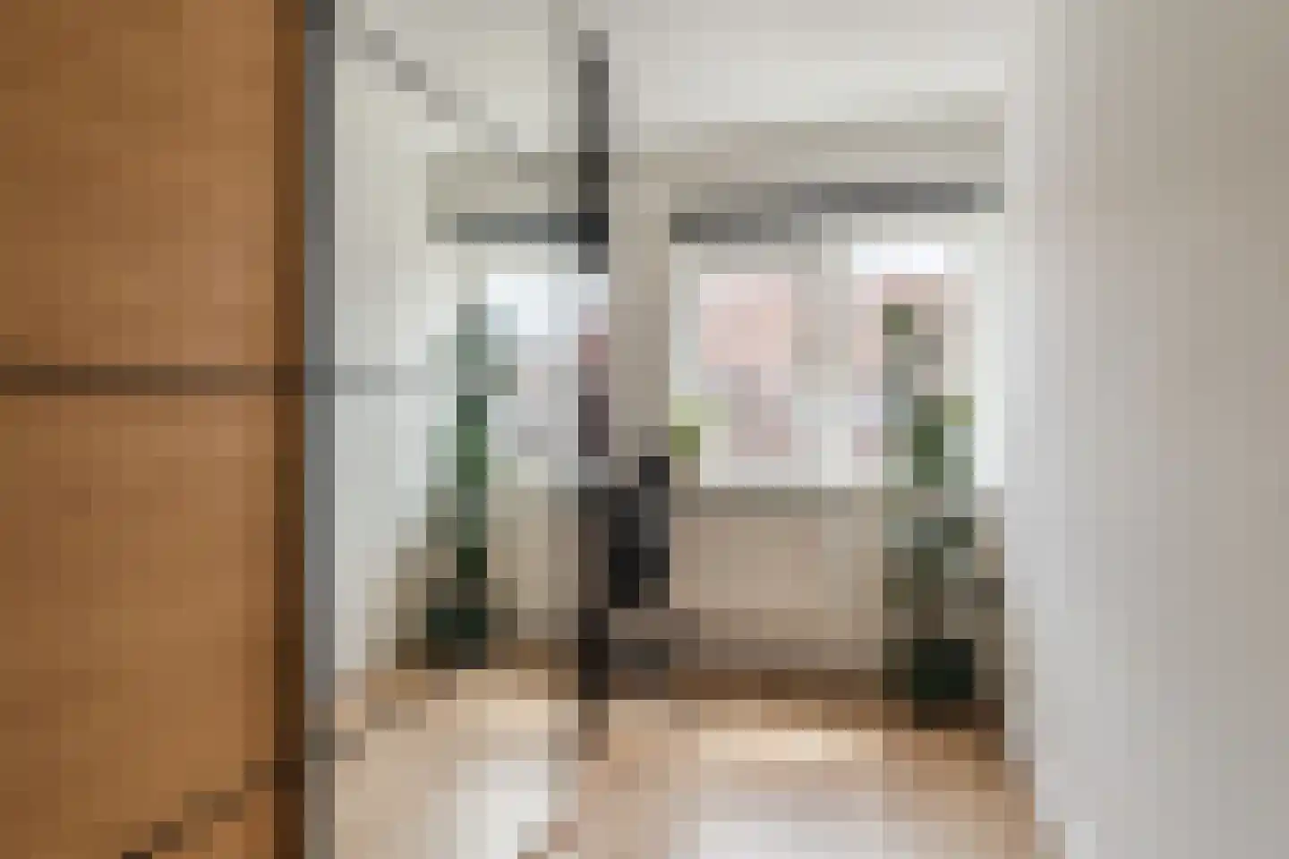 Cornelis Dirkszstraat 12 Utrecht thumbnail 30
