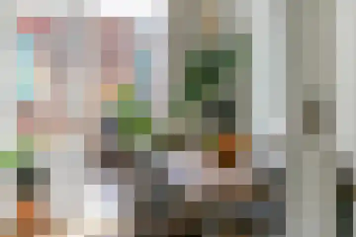 Cornelis Dirkszstraat 13 Utrecht thumbnail 10