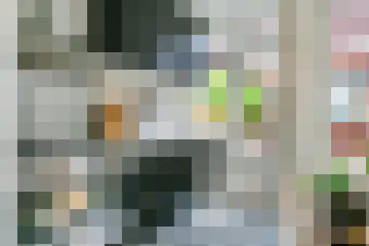 Cornelis Dirkszstraat 13 Utrecht thumbnail 14