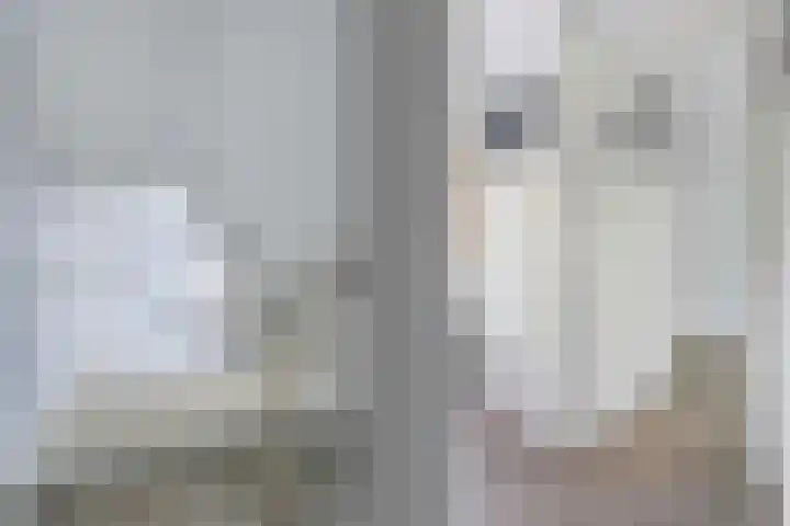 Cornelis Dirkszstraat 13 Utrecht thumbnail 19