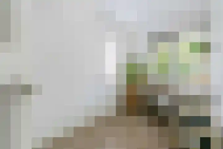 Cornelis Dirkszstraat 13 Utrecht thumbnail 22