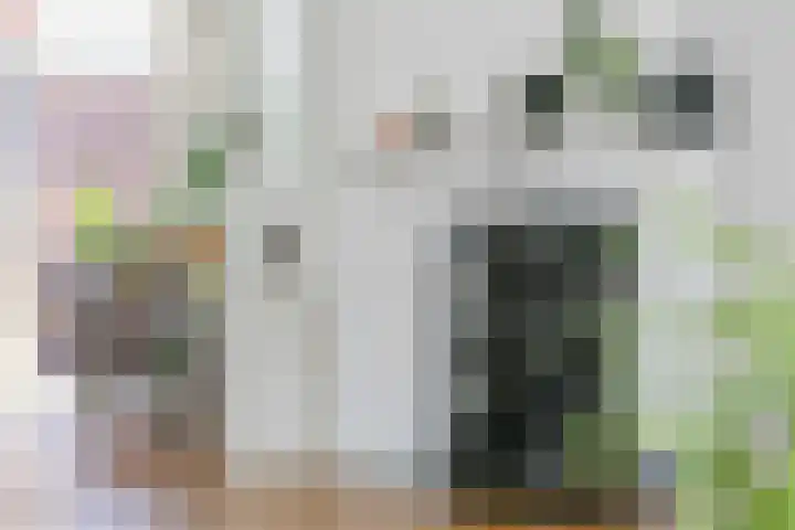 Cornelis Dirkszstraat 13 Utrecht thumbnail 9