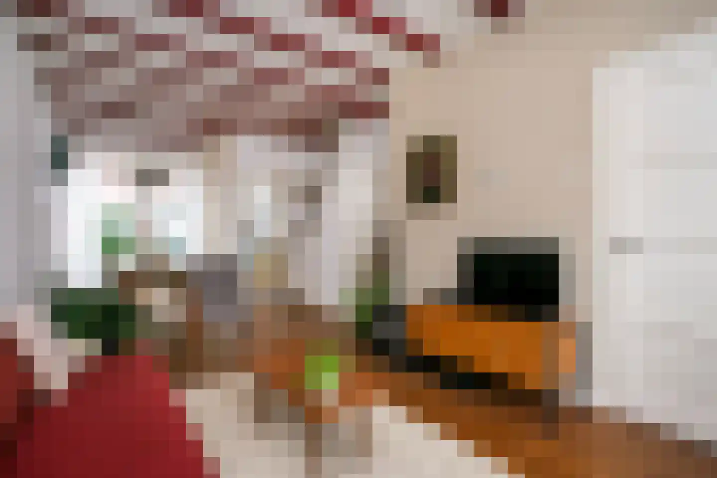 Cornelis Dirkszstraat 15 Utrecht thumbnail 10