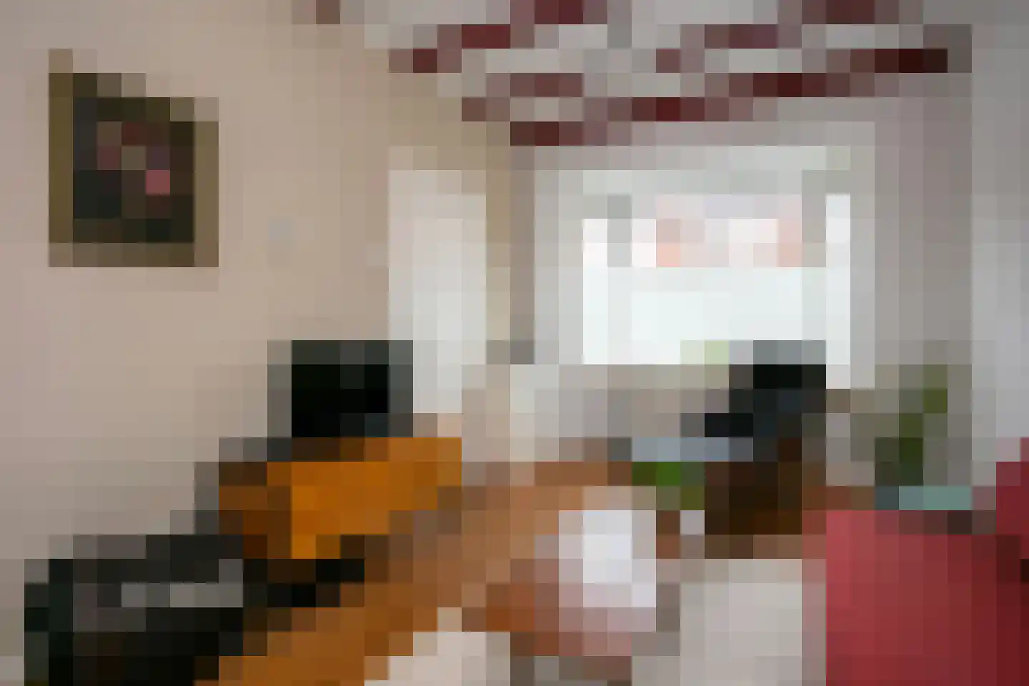 Cornelis Dirkszstraat 15 Utrecht thumbnail 13
