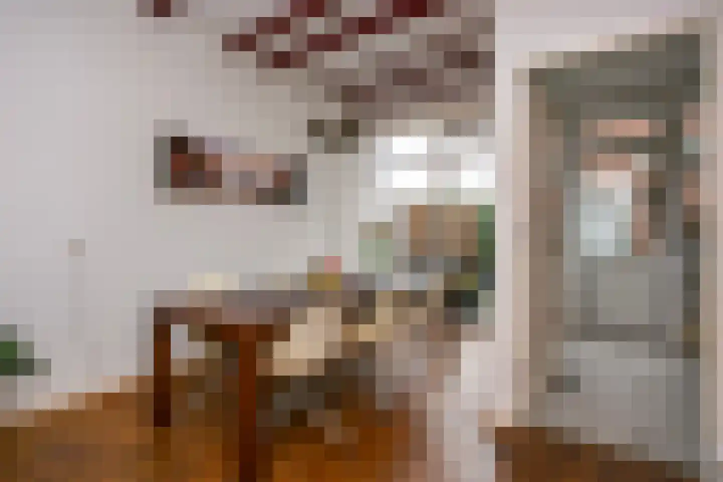 Cornelis Dirkszstraat 15 Utrecht thumbnail 15