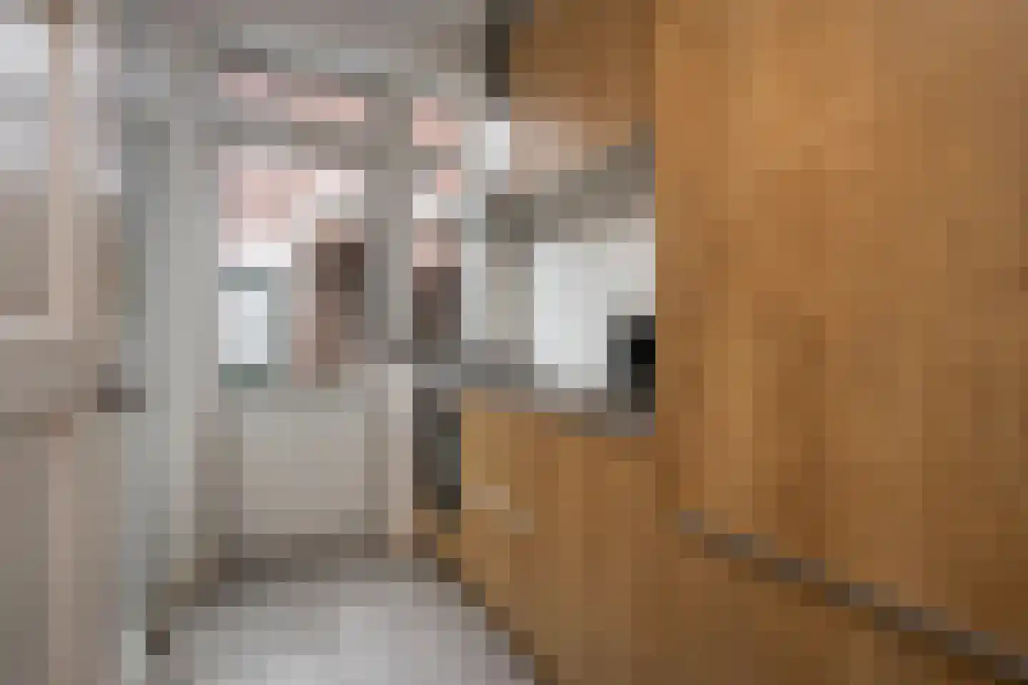 Cornelis Dirkszstraat 15 Utrecht thumbnail 17