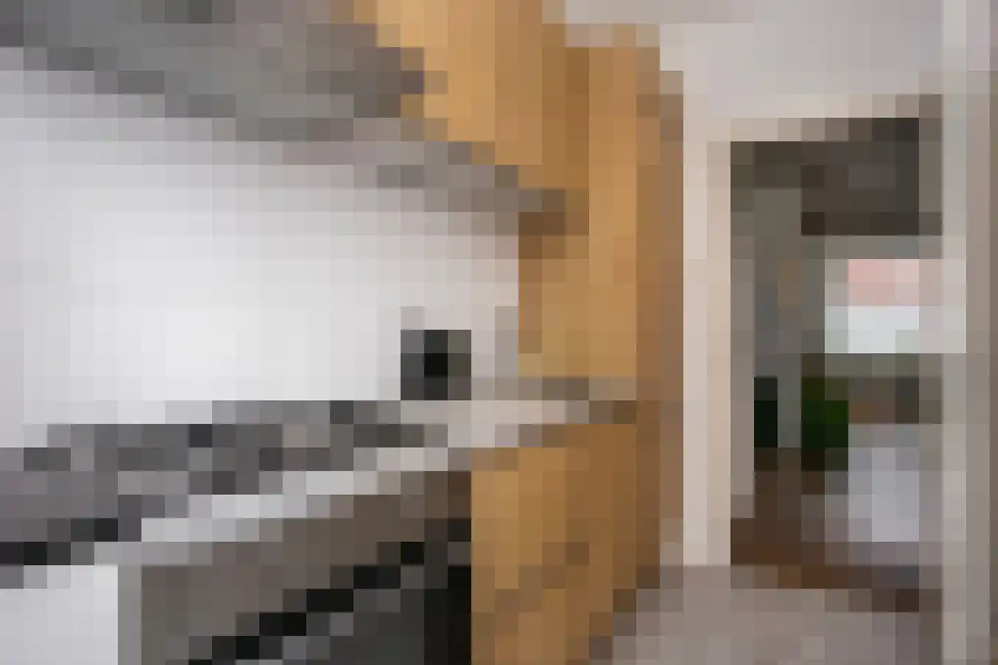 Cornelis Dirkszstraat 15 Utrecht thumbnail 18