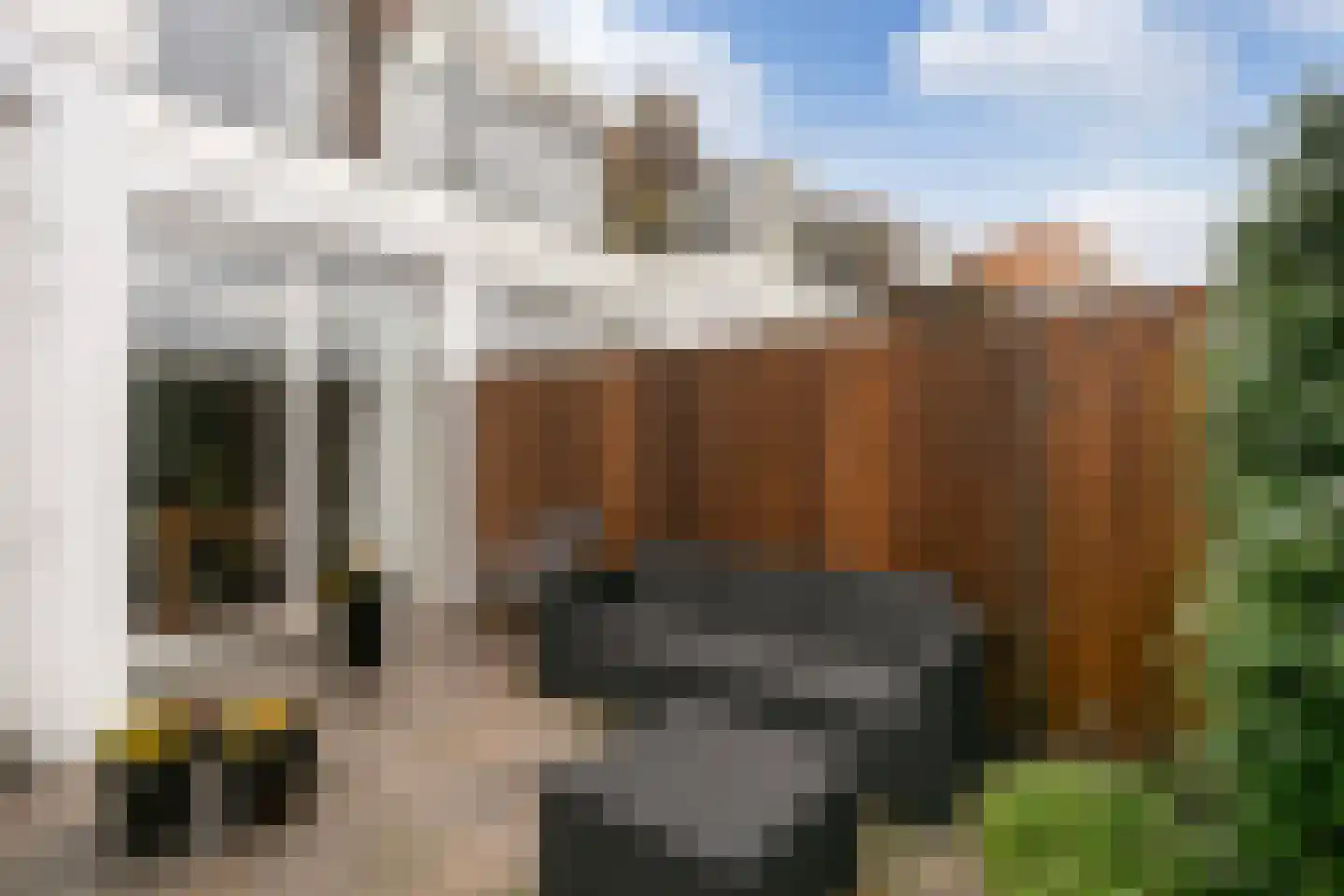 Cornelis Dirkszstraat 15 Utrecht thumbnail 21
